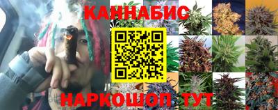 крисы Будённовск