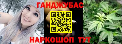 крисы Будённовск